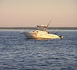 Leprechaun Fishing Charters