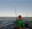 Leprechaun Fishing Charters