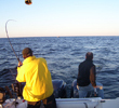 Leprechaun Fishing Charters