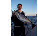 Nice King for ND man