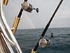Leprechaun Fishing Charters 