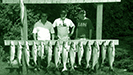 King Salmon Charter Fishing