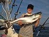 King Salmon Charter Fishing