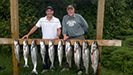 King Salmon Charter Fishing