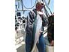 Lake Michigan Fishing Charter Lake Trout