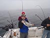 King Salmon Charter Fishing Steelhead