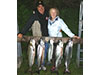 Lake Michigan Fishing Charter Lake Trout