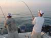 Leprechaun Fishing Charters