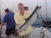 Leprechaun Fishing Charters