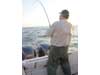 Leprechaun Fishing Charters