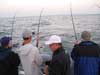 Leprechaun Fishing Charters