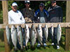 Lake Michigan fishing Lake Trout