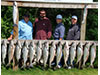 King Salmon Charter Fishing Lake Trout