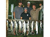 King Salmon Charter Fishing on Lake Michigan
