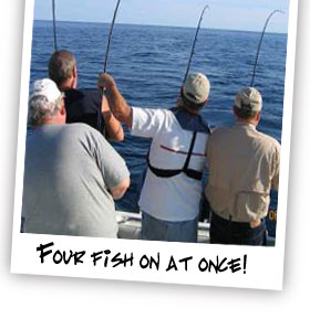 Leprechaun Lake Michigan Charter Fishing